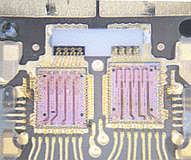 Optical Module picture